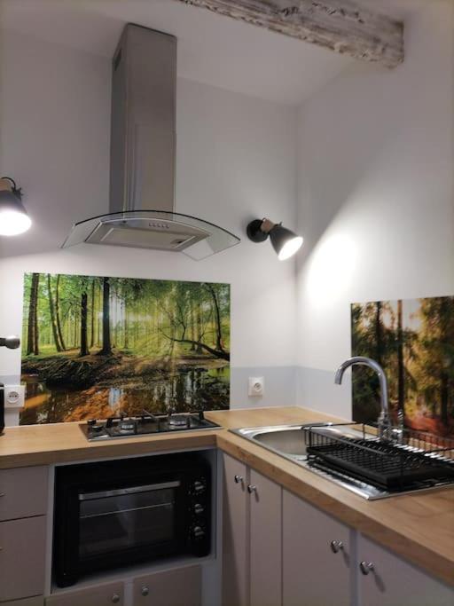 Logement Entier 3 Pieces Et Terrasse Mazieres-en-Gatine Exterior foto